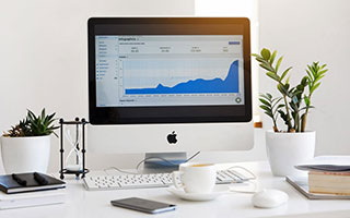 PG非洲大冒险：解锁野性大陆的专属乐趣